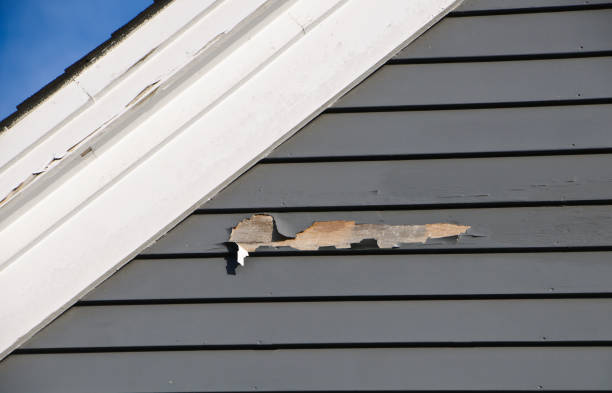 Best Storm Damage Siding Repair  in Calhoun, GA