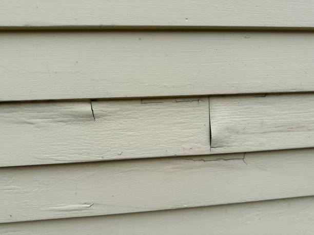 Best Siding Maintenance  in Calhoun, GA